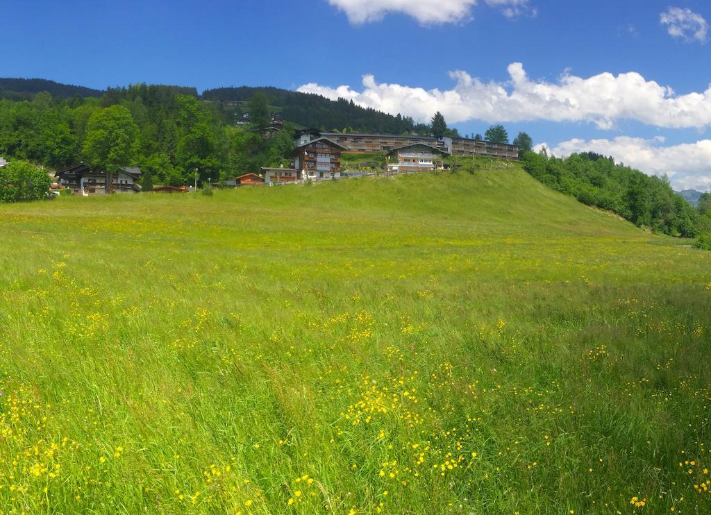 Apartment Weinberg Kirchberg in Tirol Exterior photo